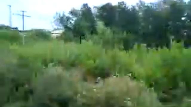 поезд ревел смотреть онлайн