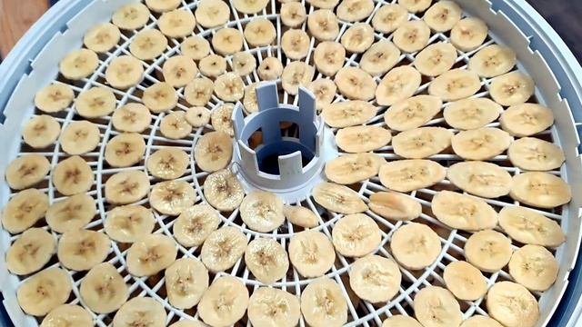 Самый лучший способ сушить бананы в электросушилке
