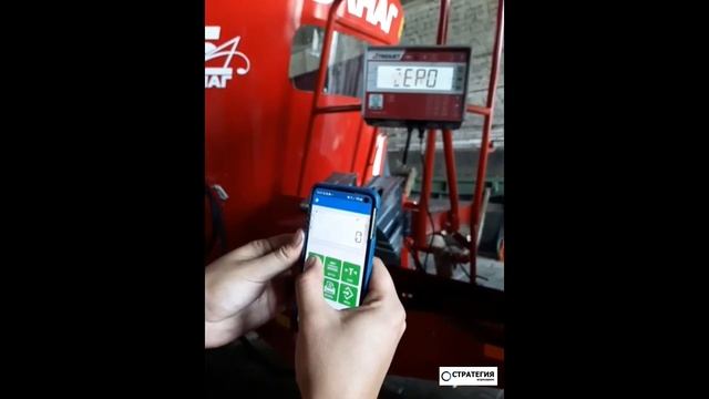 Демонстрация работы весовой системы DigiStar EZ2810 с Bluetooth у смотреть онлайн