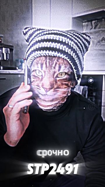 Кот всех обломал 🤣 смотреть онлайн