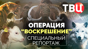 Операция "Воскрешение". Специальный репортаж ТВЦ | Нужны ли современному человеку мамонты?
