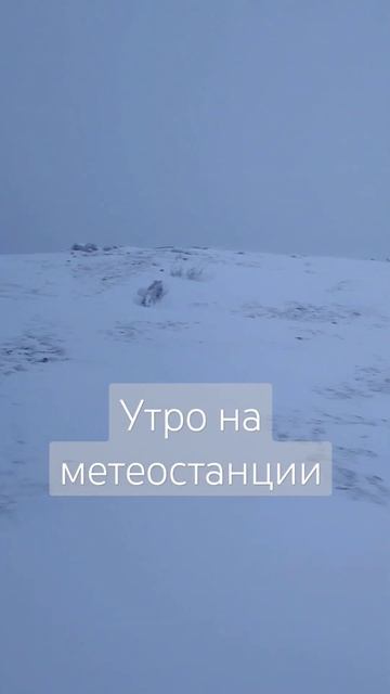 Утро на метеостанции, Таганай смотреть онлайн