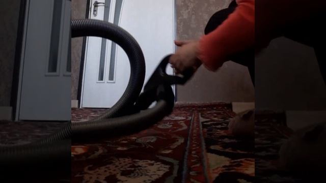 Գնեցի նոր փոշեկուլ:Я купила новыий пылесос. смотреть онлайн