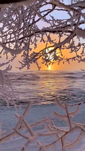 Активация ци мень ✨Три генерала✨. Что делать?🤔 Читай смотреть онлайн