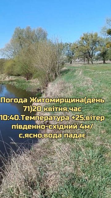 Погода Житомирщина(день 71)20 квітня,час 10:40.#погода смотреть онлайн