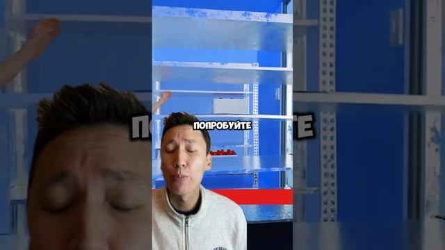 Как выжить, если вы заперты в морозильной камере смотреть онлайн