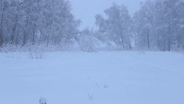 [21+] ЗА КАДРОМ