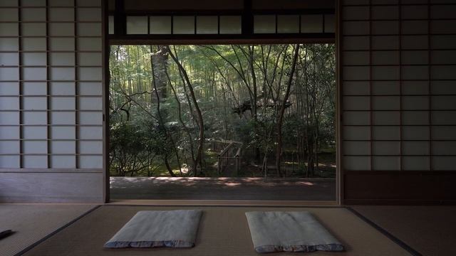 Сады Киото【京都の庭園】滝口寺｜Takiguchi-dera Temple【Kyoto Japanese Garden】