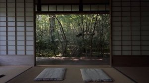 Сады Киото【京都の庭園】滝口寺｜Takiguchi-dera Temple【Kyoto Japanese Garden】