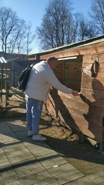 Надо всегда быть очень аккуратным помогая другим. смотреть онлайн