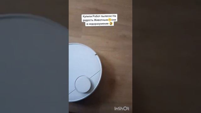 Из рубрики домашние животные. Животные и Робот-пылесо? смотреть онлайн