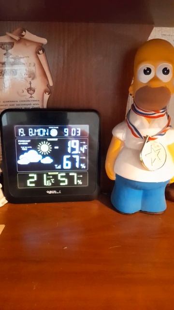 погода из Санкт-Петербурга #санктпетербург #погода смотреть онлайн