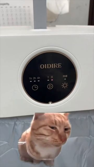 Переносная сушилка для одежды 👚 смотреть онлайн