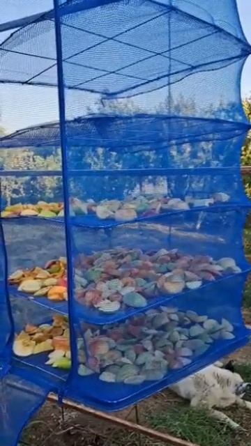 Сушилка 7000тг. Доставка по всему РК. Айгерим 8 776 205 19 39. @a смотреть онлайн