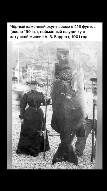 Мужской праздник 8 марта - для нас есть свои прелести смотреть онлайн