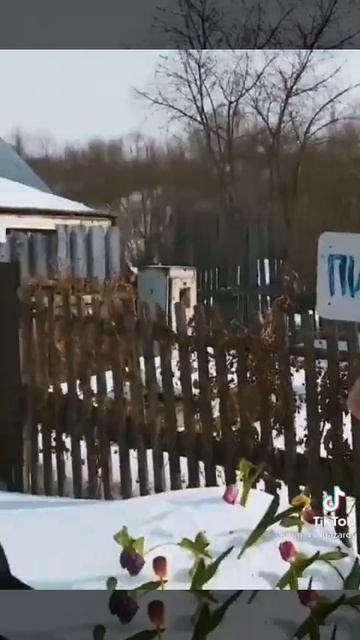 Из Документов Только Паспорт от холодильника😂 смотреть онлайн