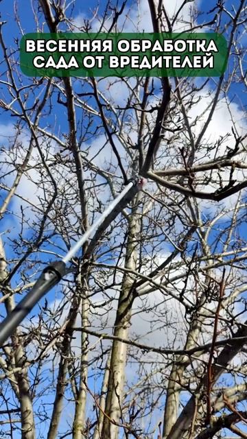 Весенняя обработка сада от вредителей #урожай #дача #с? смотреть онлайн