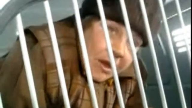 Забрали "даму " в каталажку. Дикий прикол. смотреть онлайн