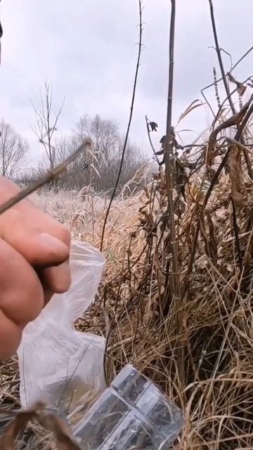 Походный фильтр для воды своими руками. #bushcraft #survival #ou смотреть онлайн