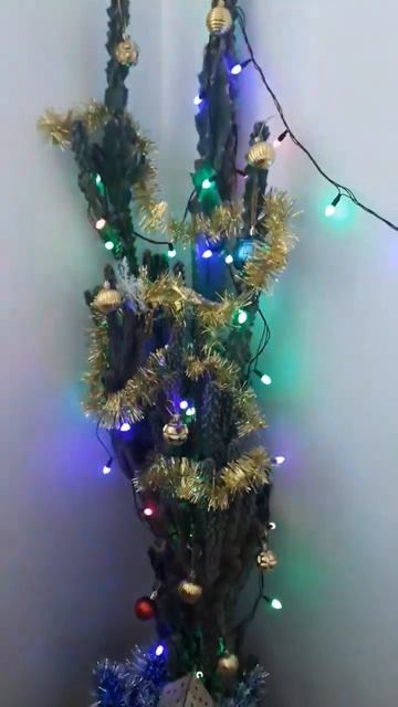 нам сказали нельзя украшать Ёлку а мы украсили кактус? смотреть онлайн