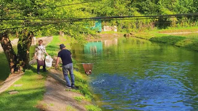По Абхазии на колёсах 🚙 форелевое хозяйство посмотреть, и воздухом подышать 👌 смотреть онлайн