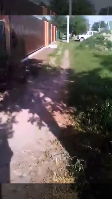 Игры все узнать смогу смотреть онлайн