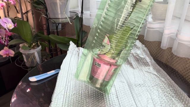 Орхидея Мечта ! Распаковка красоты смотреть онлайн