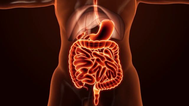 Что Делать Если Постоянно Хочется Есть? Как Снизить Ап смотреть онлайн