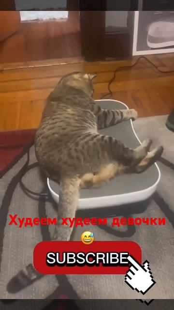 Losing weight for summer#subscribe худеем к лету #подпишись смотреть онлайн