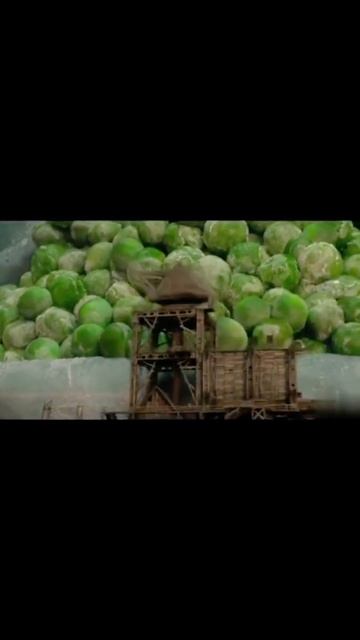 Нашли в своём холодильнике затерянную цивилизацию😨 # смотреть онлайн