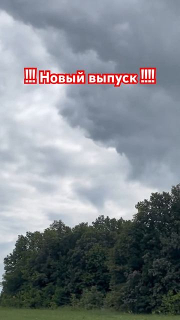 Новый выпуск про шаурму !!! Переходите в профиль и смот? смотреть онлайн