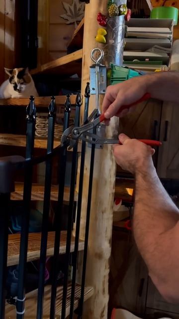 Чудо-пассатижи KNIPEX🥷 #knipextools #инструмент#плоскогубцы#kn смотреть онлайн