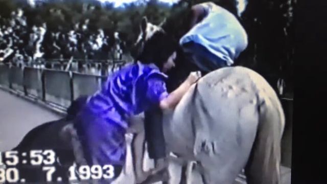 Наездница смотреть онлайн