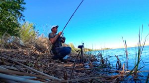 Ловля карася и сазана на поплавок и донки.Рыбалка с ночёвкой на реке
