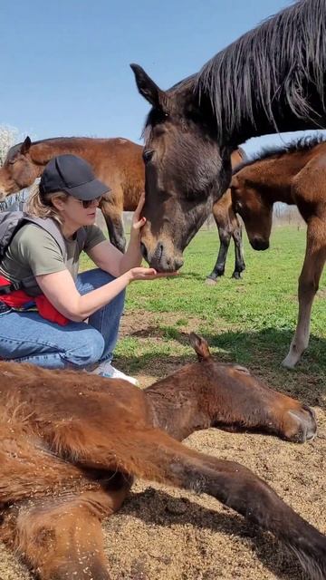 Не все умеют есть морковку смотреть онлайн