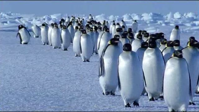 ПРИРОДА смотреть онлайн