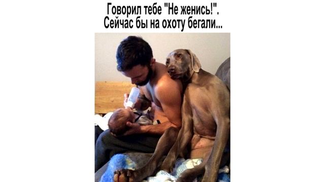 МЕМЫ!!! ПРИКЛЮЧЕНИЯ В ДЕРЕВНЕ - Приколы! Смешные видео смотреть онлайн