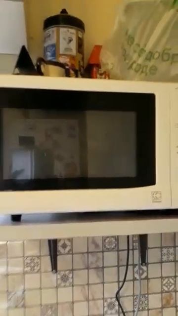 Кошка Мифи спряталась в микроволновке. смотреть онлайн