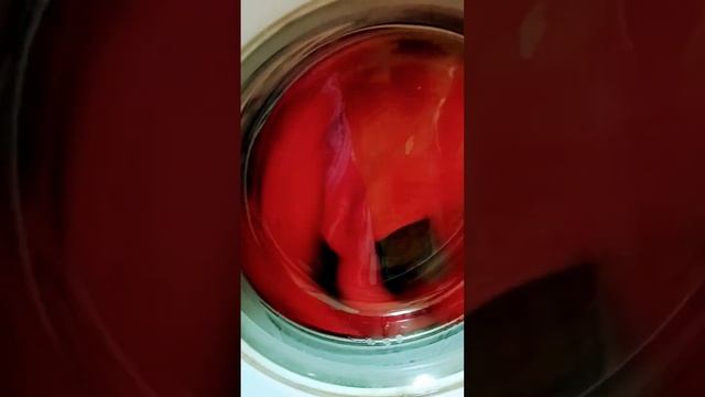 вот почему я люблю режим шерсть на индезите 😁 смотреть онлайн