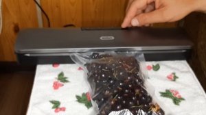 Вакууматор. Как использовать вакуумный упаковщик для