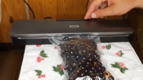 Вакууматор. Как использовать вакуумный упаковщик для