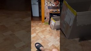 Быстрая термическая ферментация табака