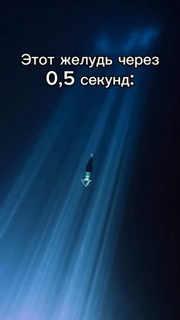 Хочешь похудеть или набрать вес? Подписывайся, здесь т смотреть онлайн