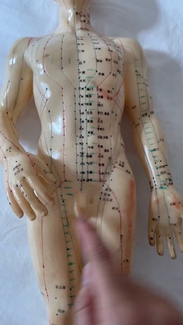 Простата выдохнет))) #простатит #массаж #china #medicine # смотреть онлайн