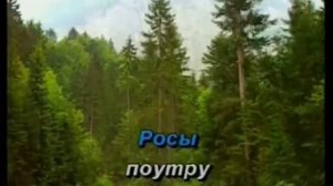 Караоке В Высоцкий Здесь лапы у елей дрожат на весу