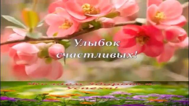 поздравить сюрпризом с днем рождения смотреть онлайн