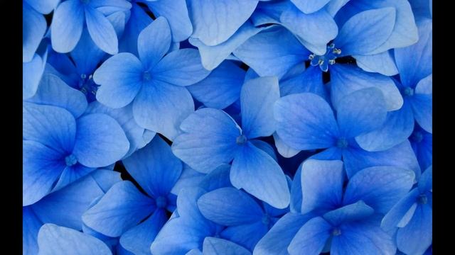 Жизнь,как она есть. смотреть онлайн