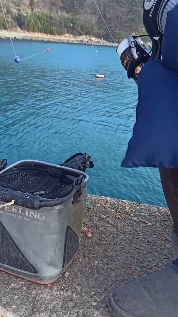 Рыбалка в Корее на острове Кодже на китайский новый го смотреть онлайн