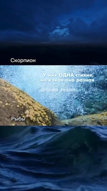 Как СТИХИЯ ВОДА по-разному влияет на знаки зодиака. #зн смотреть онлайн