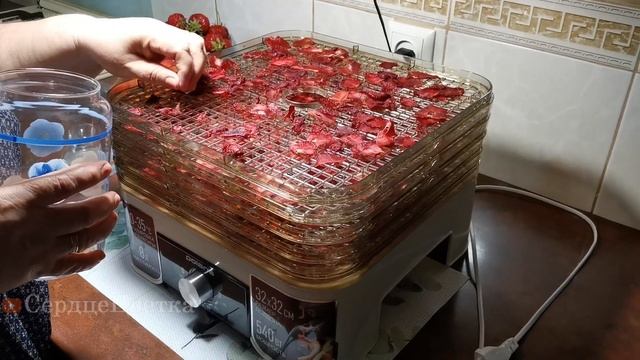 Сушка Клубники в Электрической духовке|Кухня|💕#Сердц смотреть онлайн